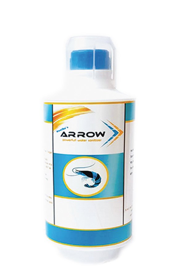 This image has an empty alt attribute; its file name is ARROW-1-3.jpg